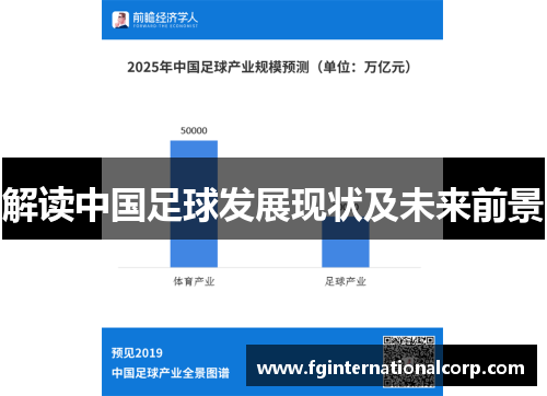 解读中国足球发展现状及未来前景